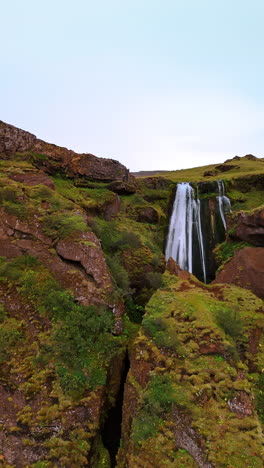 rising along the rocks overgrown with mosses. a waterfall falls from the cliff in the mountain crack. iceland scenery. vertical video.