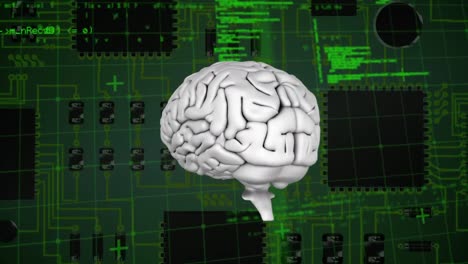 brain and a digital circuit with program codes