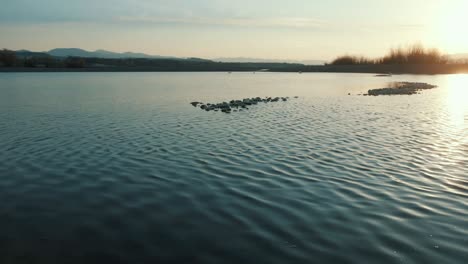 small waves on evening lake atmosphere