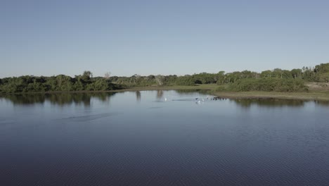 Luftaufnahme-Des-Pantanal-Voller-Wasser-Mit-Vegetation-Am-Flussufer