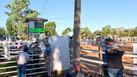 men preparing for a bull riding event