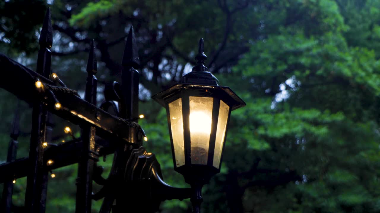 лучший вид в токио