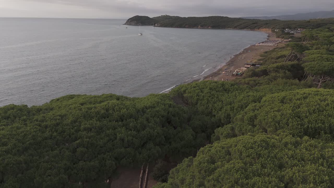 Drone flight over and inside the pine forest near the sea