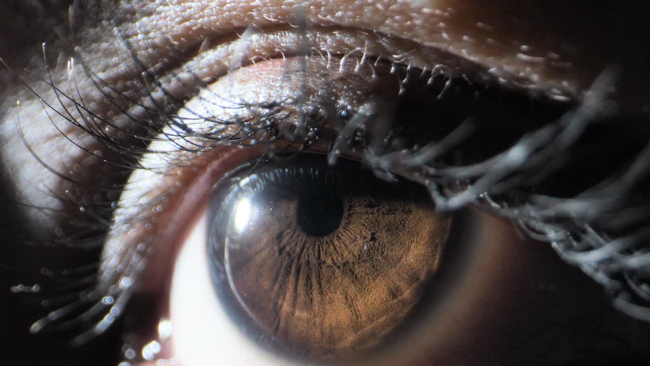 인간의 눈은 극단적으로 가까이에서 볼 수 있습니다.