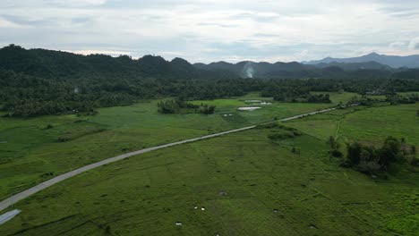 high aerial establishing drone shot of long road in middle of flat rice paddies with mountain background in catanduanes, philippines