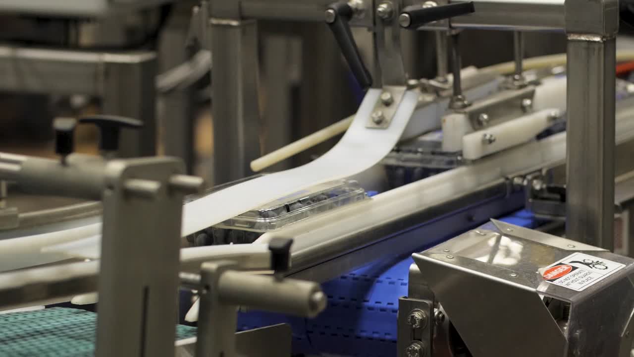 A Blueberry Processing and packaging Plant