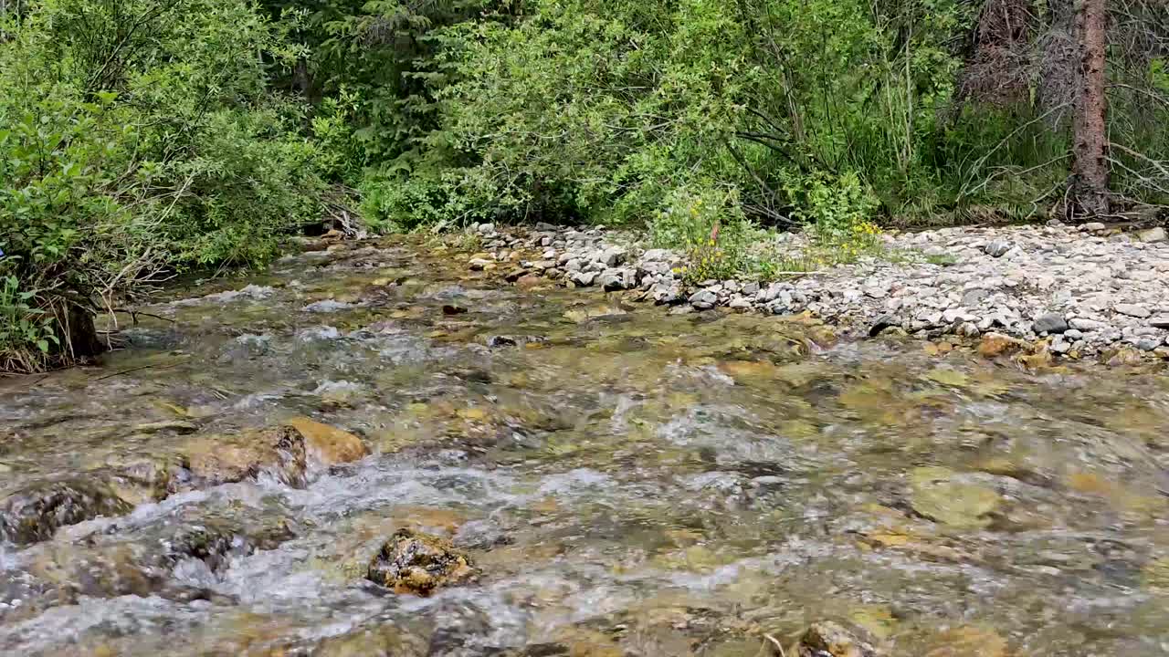 Handheld video of a stream in Breckenridge, Colorado. Water can be seen flowing over rocks.