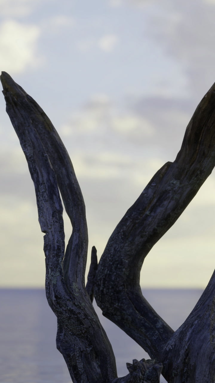 Driftwood structure overlooks calm water at sunset on the shore