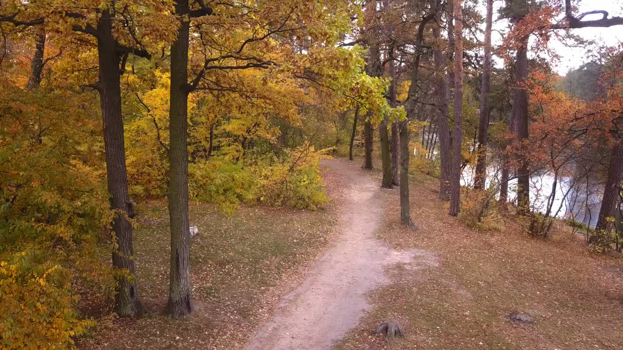 río cerca de kiev en el bosque de otoño de pusha voditsa