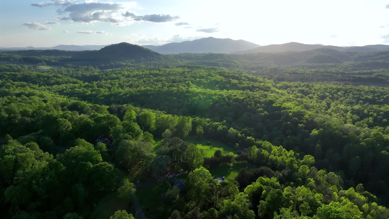 Lush green forest trees in picturesque landscape of USA. Sunset time behind mountains of Virginia. Housing area with homes between forestry. Aerial forward wide shot. Quiet serene atmosphere.