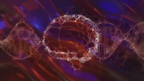 animation of human brain and dna strand spinning over liquid background