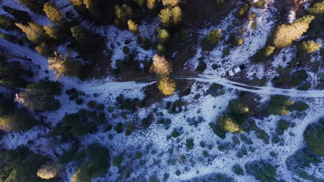 Drone-Aéreo-Elevando-Fuera-Del-Bosque-Con-Camioneta-En-Mammoth-Lakes-California-Usa