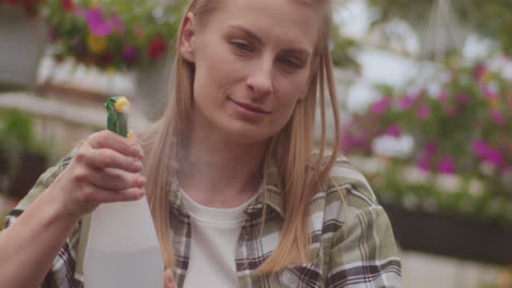 young farmer sprinkling water at greenhouse