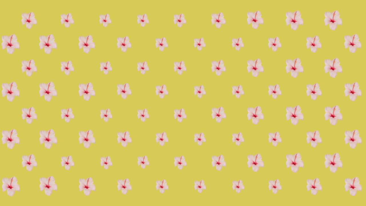 Animation af lyserøde blomster på gul baggrund