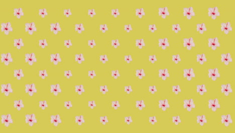 animación de flores rosadas sobre un fondo amarillo