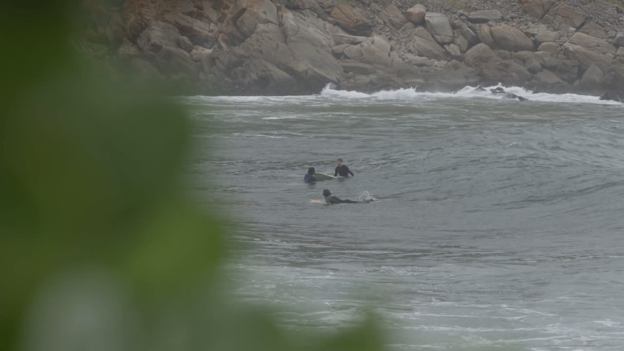 varios surfistas intentan montar en olas altas en la playa