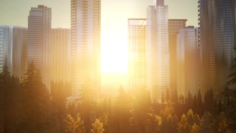 forest hillside and city landscape