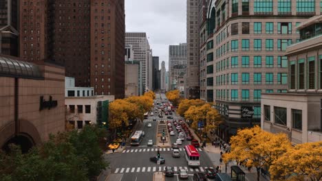 chicago aerial of magnificent mile with autumn colors