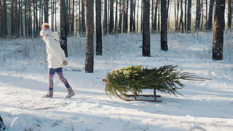 Ein-Kleines-Mädchen-Trägt-Einen-Weihnachtsbaum-Auf-Einem-Holzschlitten-Geht-Durch-Den-Verschneiten-Wald