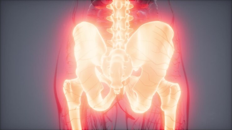 Transparent Human Body with Visible Bones