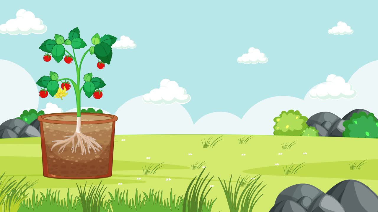 식물의 성장과 꽃 부분의 교육 애니메이션