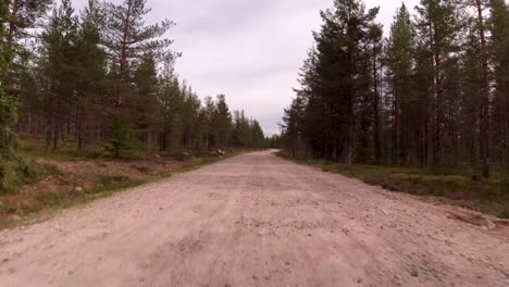 driving around in lapland narrow forest dirt road driver point of view