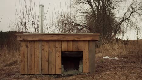 man collecting firewood for the diy hot tub outdoors