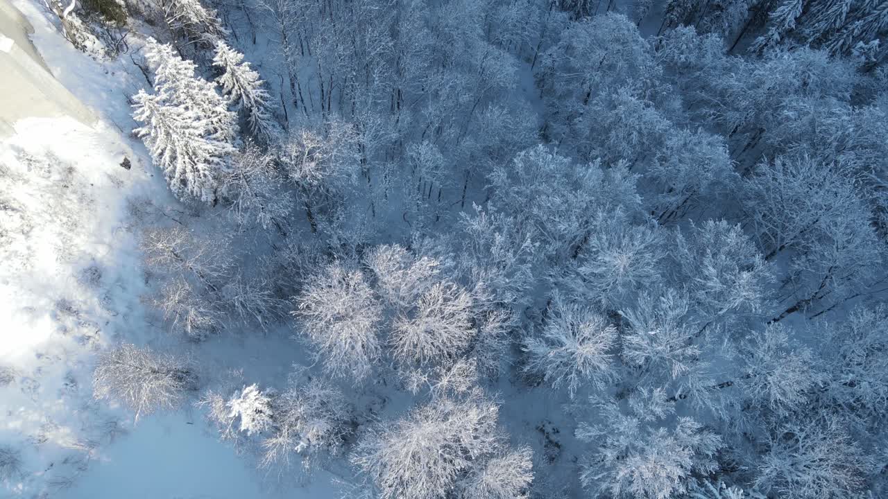 Luftfoto af snedækket vinterskov med frostklædte træer, alpint skovområde og uberørt snelandskab i Bayern, Sydtyskland, der viser rolig vinternatur og årstidens sceneri