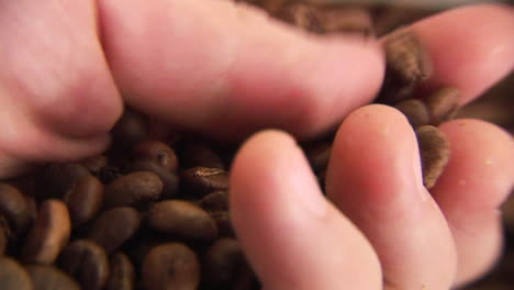 granos de café