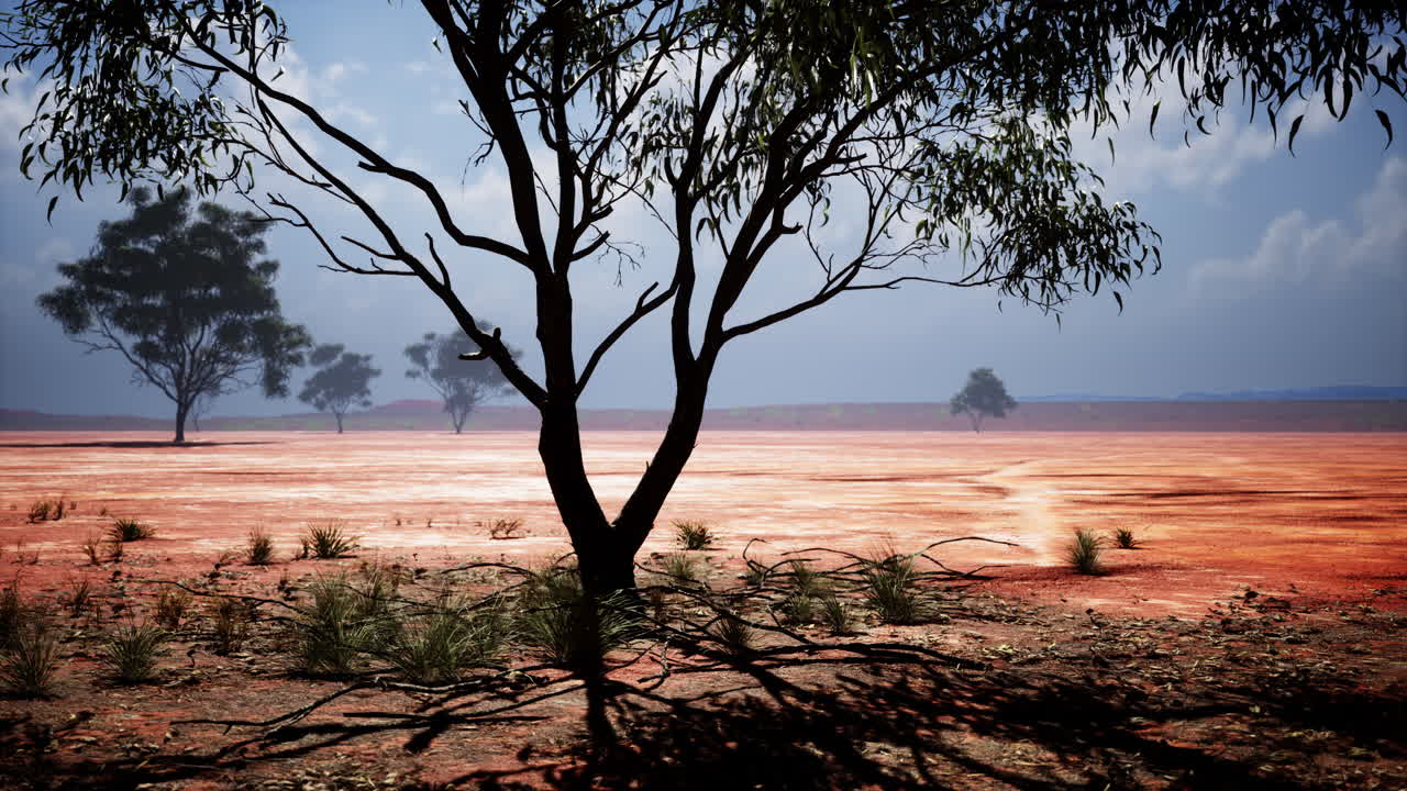 acacia triis en el paisaje africano