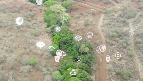 drone flying in farms in kilimanjaro slopes- green kenya farms, poor settlement africa aerial agronomic plantation