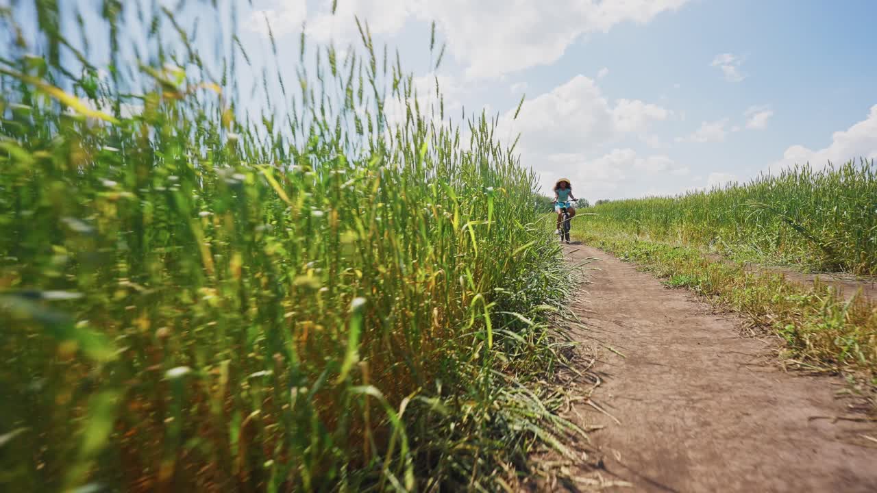 Girl on a bike in a wheat field