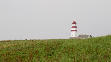 a lighthouse at the norwegian coast. standing on a hilltop in the grassland.