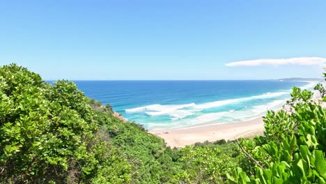 lush greenery framing a tranquil beach scene