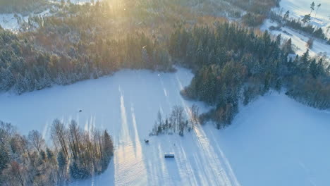 drone aerial shot of a snow-covered forest as snowfall begins