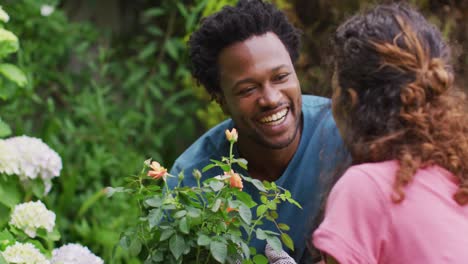 happy biracial man holding pot with roses, gardening with female partner