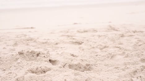 view of the sand on the beach