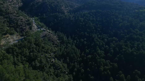 Luftaufnahme-über-Ein-Tal-Mit-Pinienwäldern