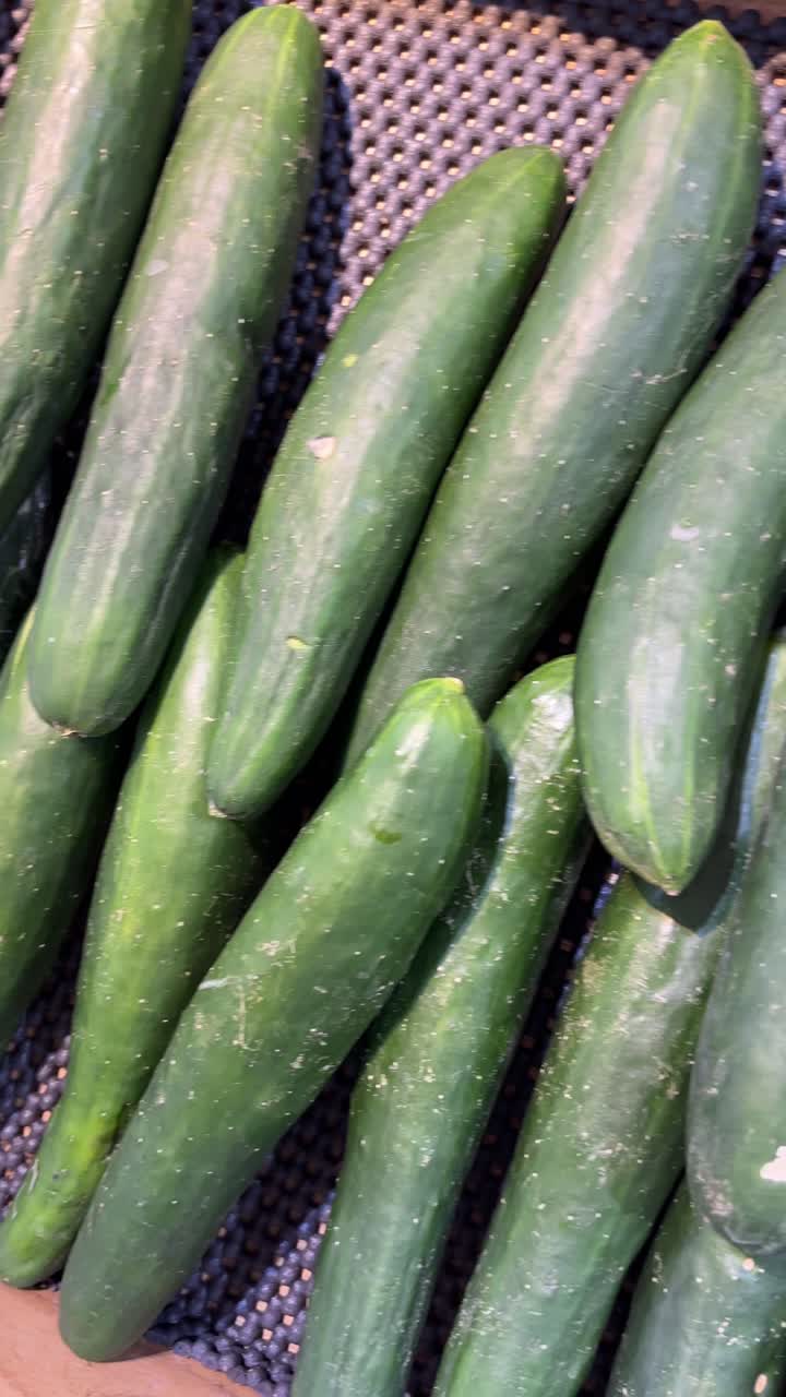 Fresh Green Cucumbers on Display in a Grocery Store