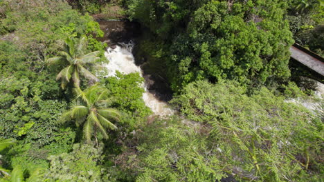 High-angle-view-of-wild-creek-flowing-down-on-rocks-in-nature