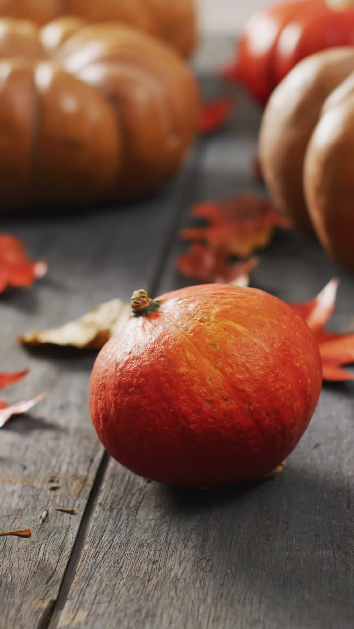 video vertical de calabazas y hojas de otoño en fondo de madera