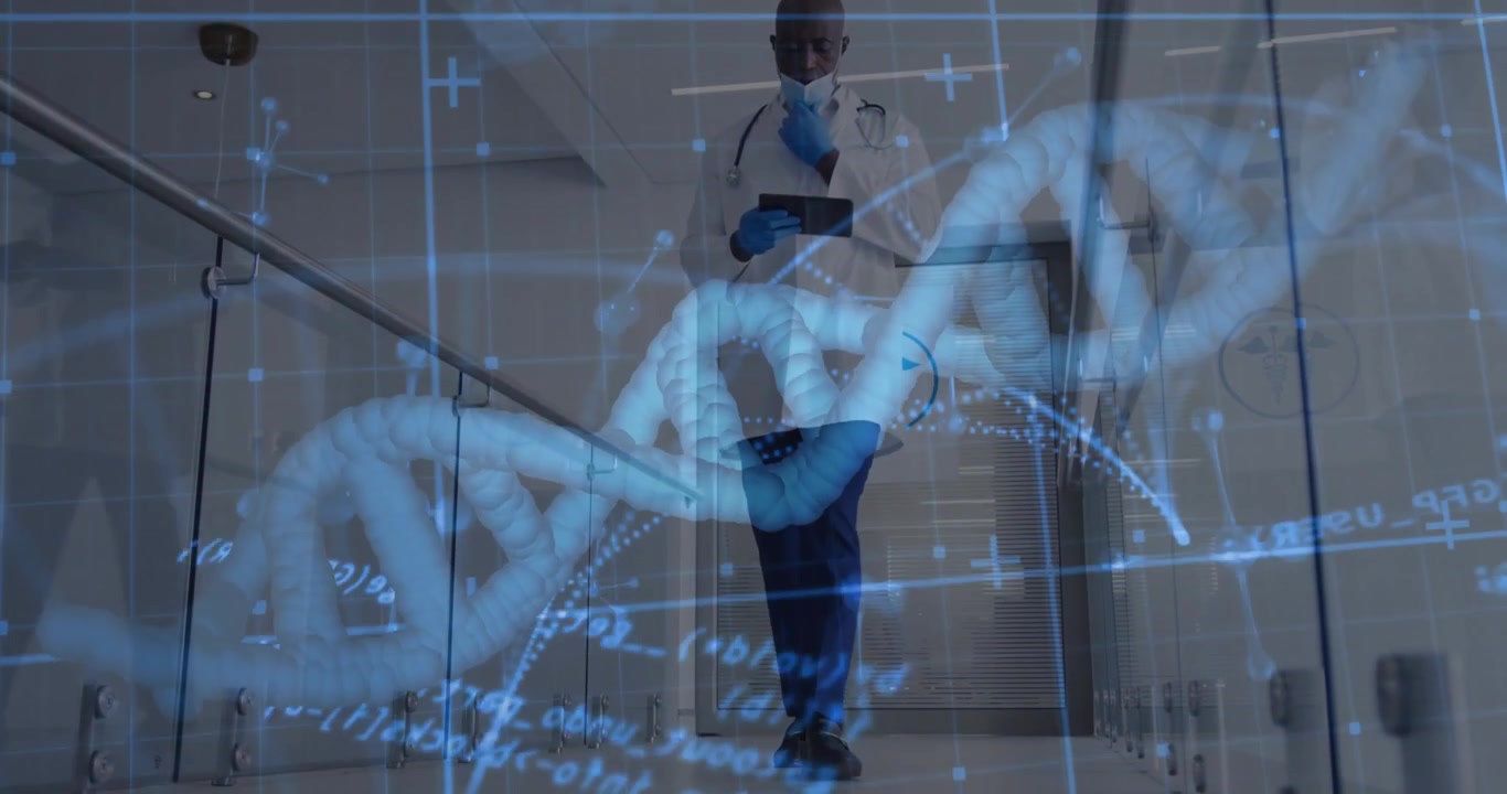 With DNA helix appearing doctor walking medical corridor checking tablet, monitoring drifting data