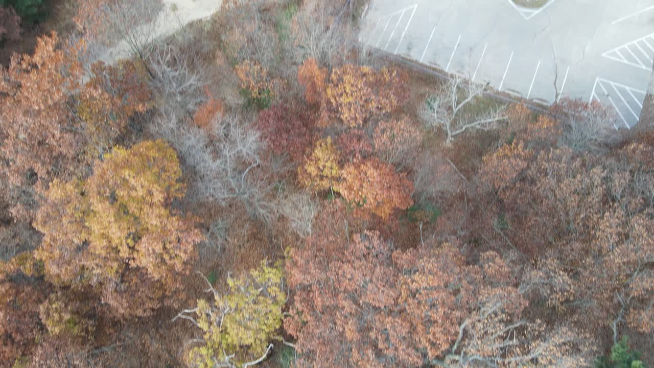 팬의 산책로, 주차장에 kruse 공원 모래 언덕