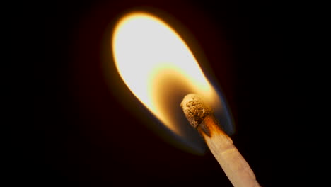 Match-Stick-On-Fire-Macro-Cámara-Lenta