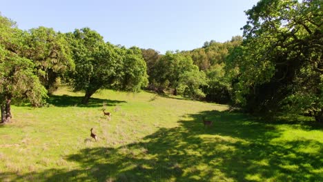 Beeindruckende-Natur:-Faszinierende-Drohnenaufnahmen