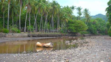 Toma-Completa,-Inicie-Sesión-En-El-Lecho-Del-Río-Junto-A-La-Playa-Bitcoin-En-El-Salvador,-México,-Pajaritos-Y-Palmeras-En-El-Fondo