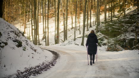 Woman-Nordic-Walking-Winter