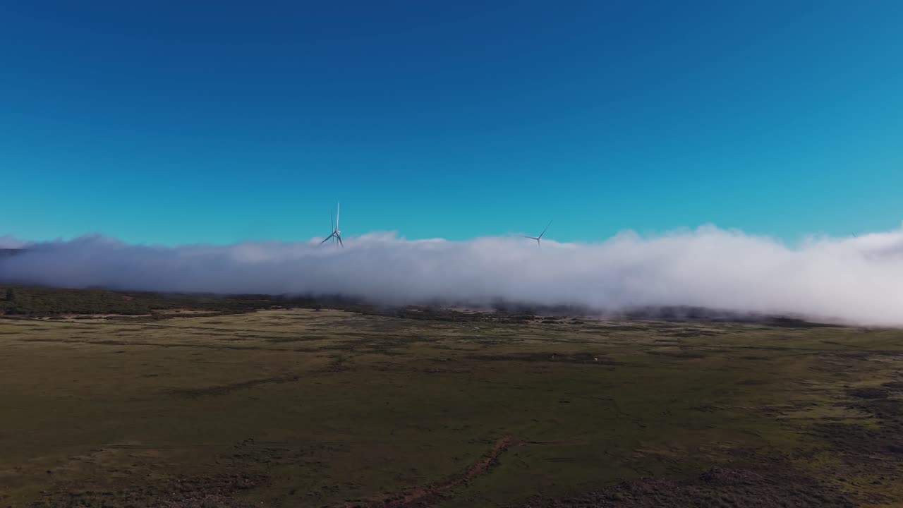 Luftfoto af vindmøller, der rager op over lavthængende skyer på Madeira-plateauet, med klar blå himmel og naturligt landskab, repræsenterer vedvarende energi og bæredygtighed