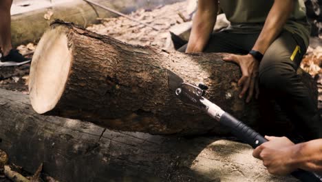 sawing a wooden log with a steel blade in pulau ubin, singapore - closeup