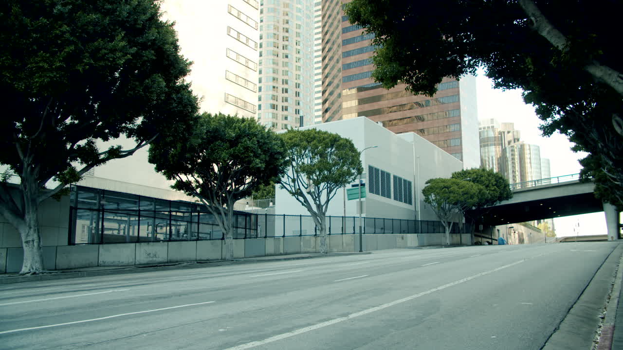 Empty City Street with Tall Buildings and Trees